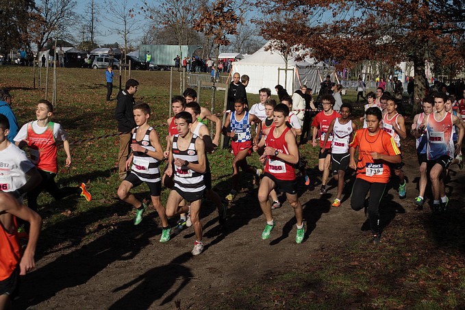 Diapositive suivante